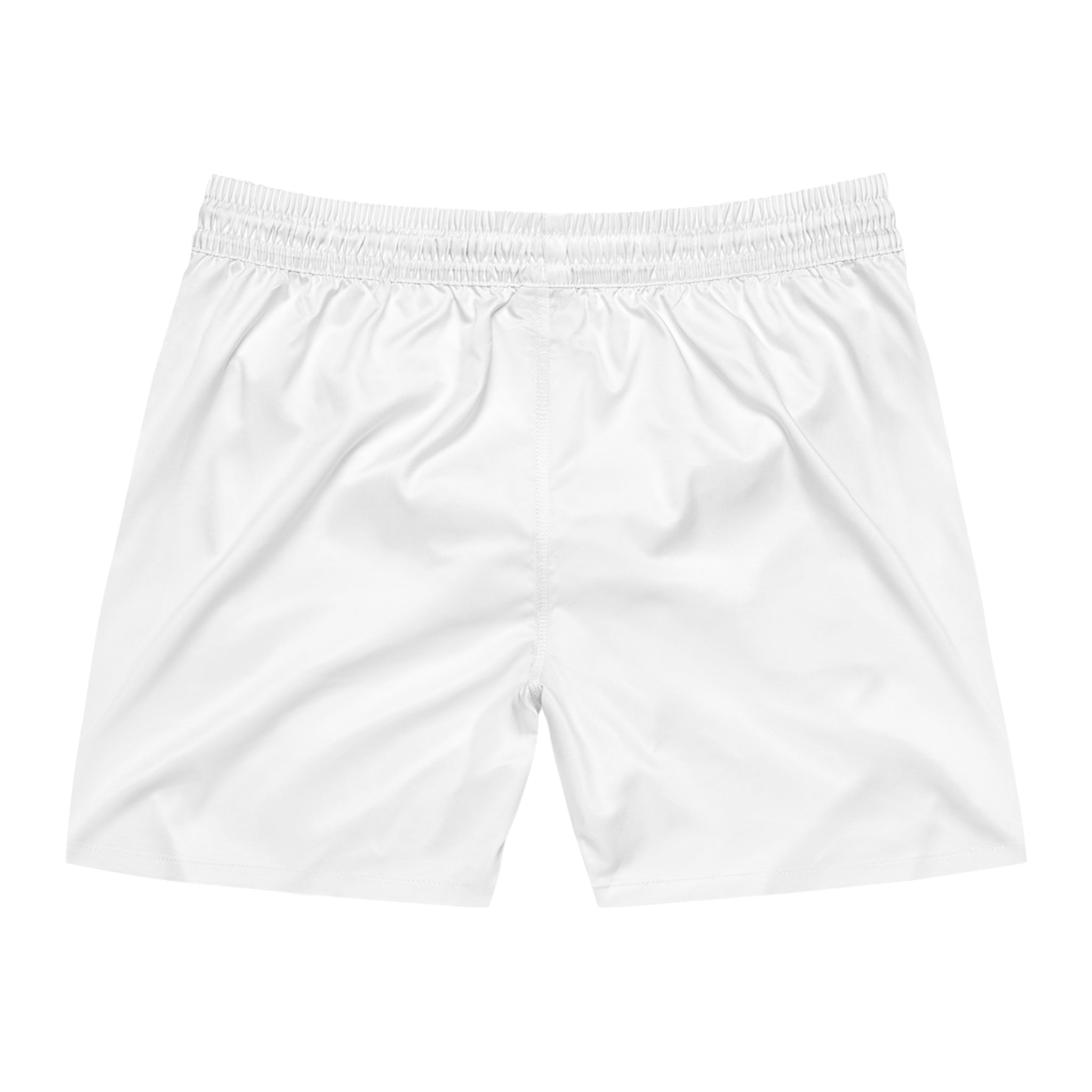 Men's Swim Shorts with Turtle Compass Logo — Ahgwenya Beach Trunks